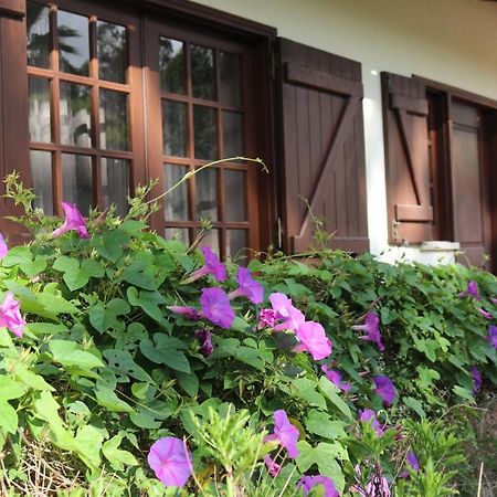 A Quinta Duna Salir de Porto Zewnętrze zdjęcie