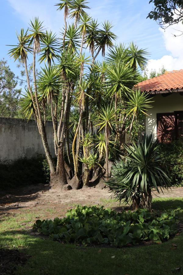 A Quinta Duna Salir de Porto Zewnętrze zdjęcie